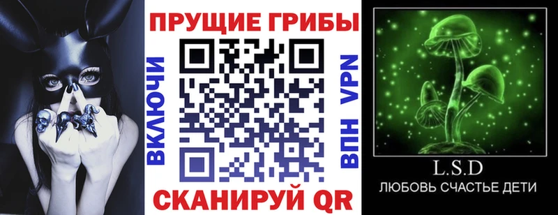 Псилоцибиновые грибы прущие грибы  ОМГ ОМГ ТОР  Тюкалинск 
